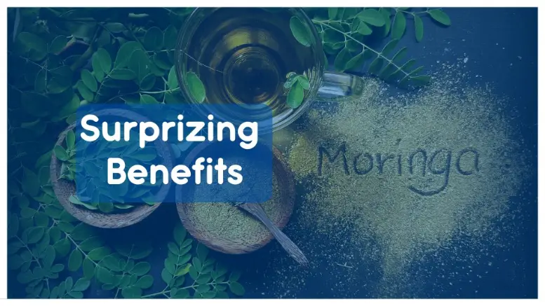 Moringa Powder Benefits: 23+ Proven Health Benefits